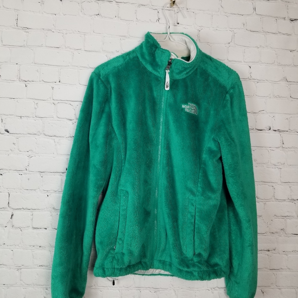 The north face jacket green